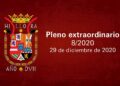 Pleno extraordinario 08/2020