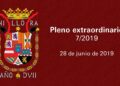 Pleno extraordinario 7/2019