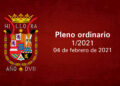Pleno ordinario 01/2021