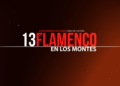 Vídeo promocional de la Final del 13 Flamenco en los Montes