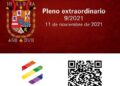 PLENO EXTRAORDINARIO DEL 11 DE NOVIEMBRE