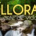Íllora, fuente de vida