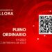 Pleno ordinario 01/2023